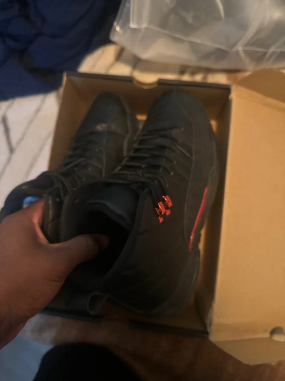 Jordan 12 bloodline men